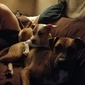 Meet your Posher, Gary